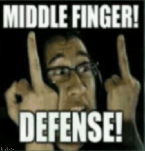 middle finger defince | image tagged in mems | made w/ Imgflip meme maker