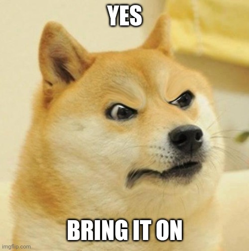 Confused Angery Doge | YES BRING IT ON | image tagged in confused angery doge | made w/ Imgflip meme maker