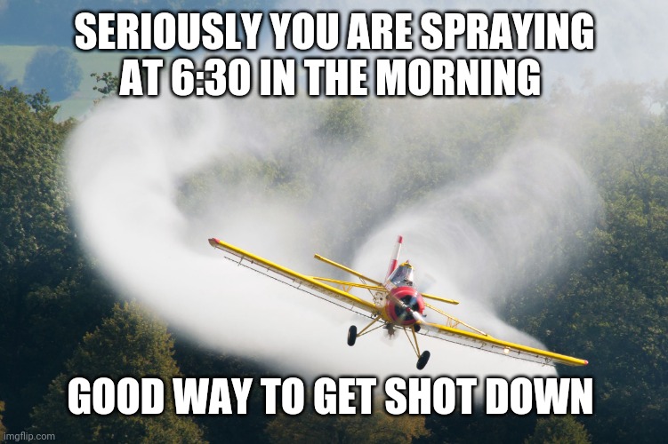 Gypsy moth control in my area | SERIOUSLY YOU ARE SPRAYING AT 6:30 IN THE MORNING; GOOD WAY TO GET SHOT DOWN | image tagged in crop duster | made w/ Imgflip meme maker