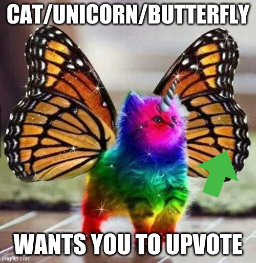 Also, give it a name :3 | CAT/UNICORN/BUTTERFLY; WANTS YOU TO UPVOTE | image tagged in rainbow unicorn butterfly kitten,upvote,majestic,creature,what should her name be,yay | made w/ Imgflip meme maker