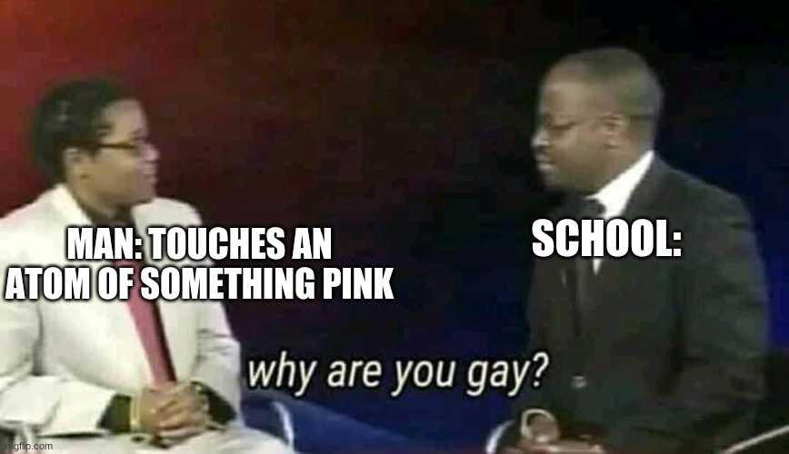 why are you gay | SCHOOL:; MAN: TOUCHES AN
ATOM OF SOMETHING PINK | image tagged in why are you gay | made w/ Imgflip meme maker