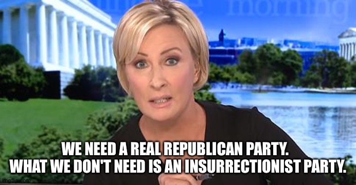 Mika B. tells it like it is. | WE NEED A REAL REPUBLICAN PARTY.  
WHAT WE DON'T NEED IS AN INSURRECTIONIST PARTY. | image tagged in mika b | made w/ Imgflip meme maker