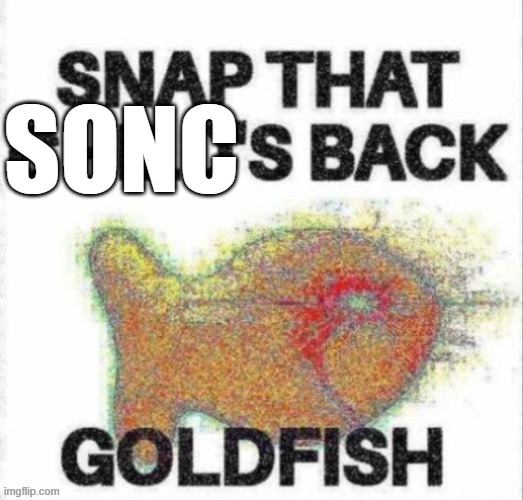 snap that childs back goldfish | SONC | image tagged in snap that childs back goldfish | made w/ Imgflip meme maker