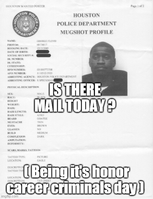 George Floyd Day | IS THERE MAIL TODAY ? ( Being it's honor career criminals day ) | image tagged in memes | made w/ Imgflip meme maker