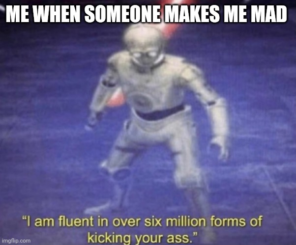 I am fluent in over six million forms of kicking your ass | ME WHEN SOMEONE MAKES ME MAD | image tagged in i am fluent in over six million forms of kicking your ass | made w/ Imgflip meme maker