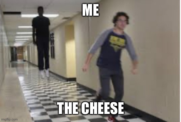 Running Down Hallway | ME THE CHEESE | image tagged in running down hallway | made w/ Imgflip meme maker