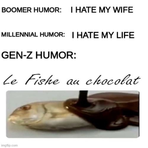 Le meme | image tagged in boomer humor millennial humor gen-z humor | made w/ Imgflip meme maker