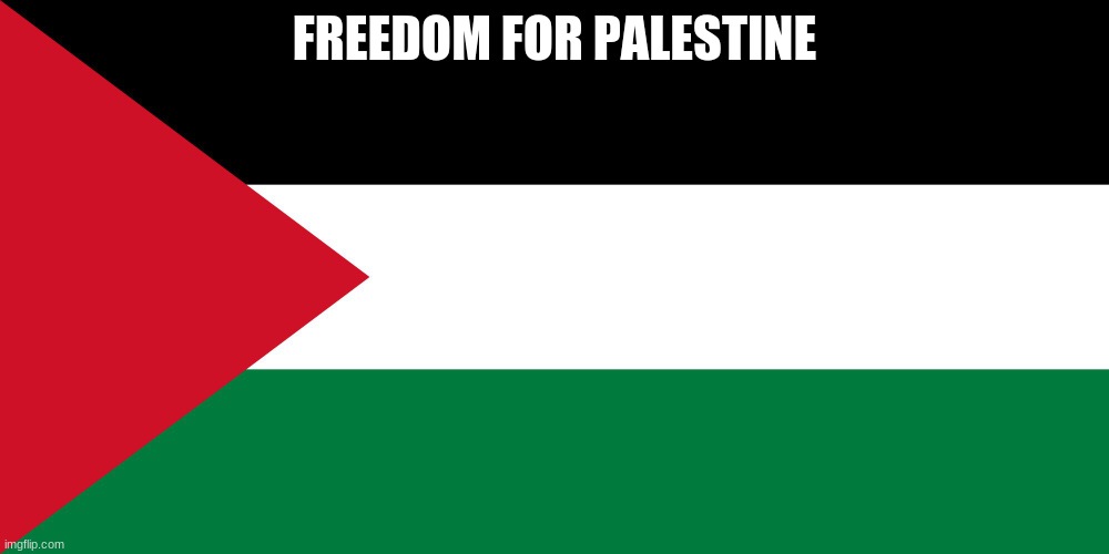 palestine | FREEDOM FOR PALESTINE | image tagged in palestine | made w/ Imgflip meme maker