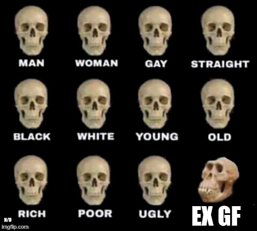 idiot skull |  EX GF; N/D | image tagged in idiot skull,memes,funny | made w/ Imgflip meme maker