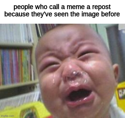 ppl these days are stupid |  people who call a meme a repost because they've seen the image before | image tagged in funny crying baby | made w/ Imgflip meme maker