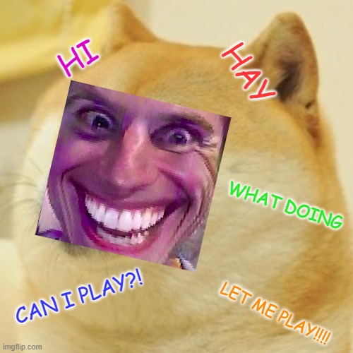 we all have a little cuz that acts this way dont we. . . | HI; HAY; WHAT DOING; CAN I PLAY?! LET ME PLAY!!!! | image tagged in memes,doge | made w/ Imgflip meme maker