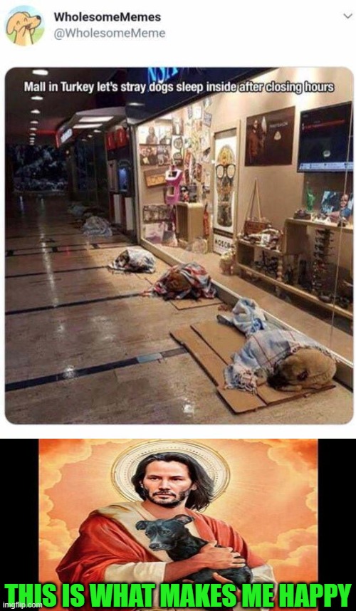 Keanu Jesus approves | THIS IS WHAT MAKES ME HAPPY | image tagged in keanu jesus,jesus keanu,dogs,doggie | made w/ Imgflip meme maker