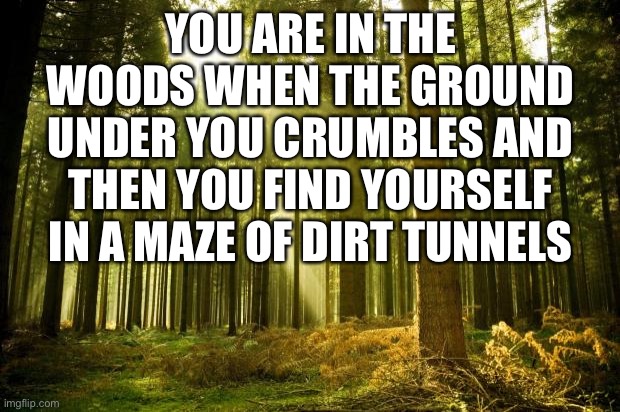 Try to avoid being to OP, it is allowed for this rp though | YOU ARE IN THE WOODS WHEN THE GROUND UNDER YOU CRUMBLES AND THEN YOU FIND YOURSELF IN A MAZE OF DIRT TUNNELS | image tagged in sunlit forest | made w/ Imgflip meme maker