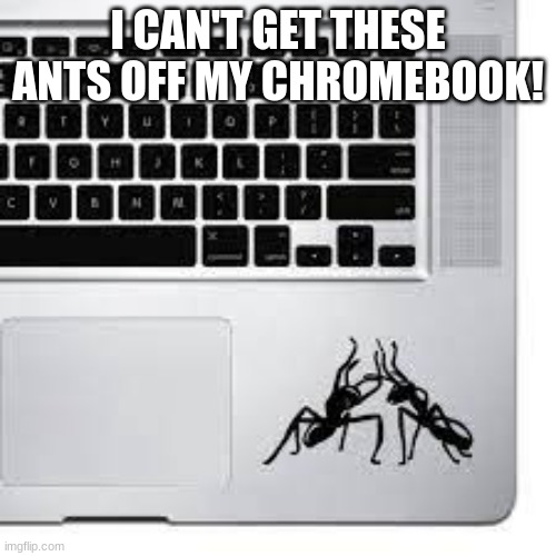 Ack! | I CAN'T GET THESE ANTS OFF MY CHROMEBOOK! | image tagged in ants | made w/ Imgflip meme maker