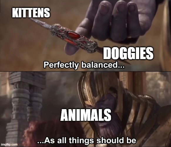 Thanos perfectly balanced as all things should be | KITTENS; DOGGIES; ANIMALS | image tagged in thanos perfectly balanced as all things should be | made w/ Imgflip meme maker