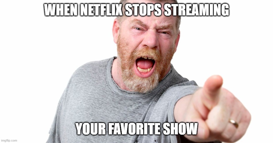angry man shouting and pointing | WHEN NETFLIX STOPS STREAMING; YOUR FAVORITE SHOW | image tagged in angry man shouting and pointing | made w/ Imgflip meme maker