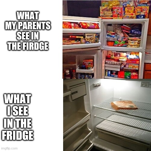 idddddddddkkkkkkkkkkkkkkkk | WHAT MY PARENTS SEE IN THE FIRDGE; WHAT I SEE IN THE FRIDGE | image tagged in food | made w/ Imgflip meme maker