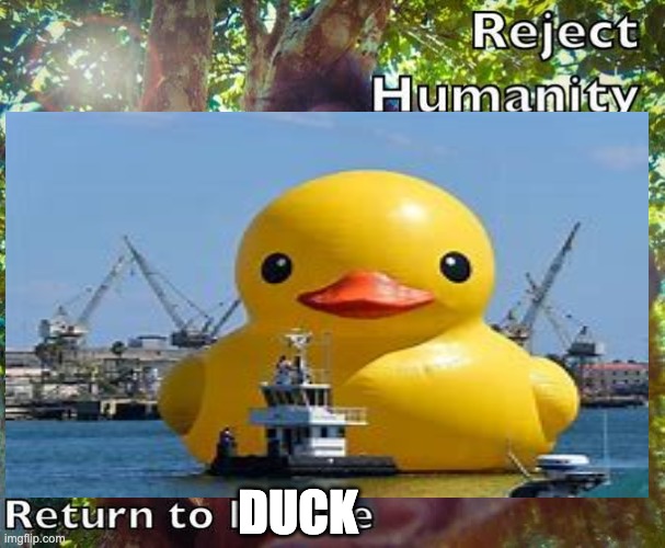 DUCK | made w/ Imgflip meme maker