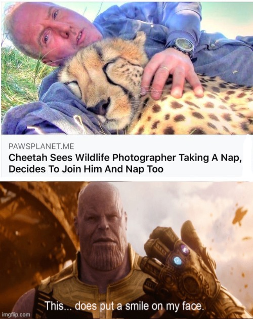 This. This puts a smile on my face | image tagged in this puts a smile on my face,thanos,love | made w/ Imgflip meme maker