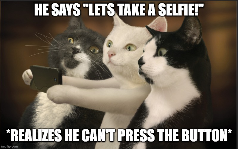 Selfie! | HE SAYS "LETS TAKE A SELFIE!"; *REALIZES HE CAN'T PRESS THE BUTTON* | image tagged in funny cats | made w/ Imgflip meme maker