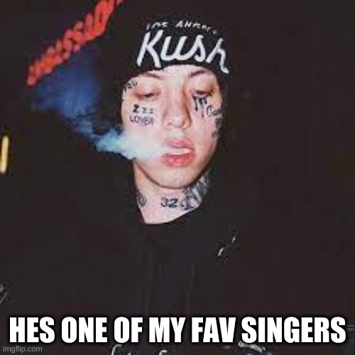 HES ONE OF MY FAV SINGERS | image tagged in singers | made w/ Imgflip meme maker