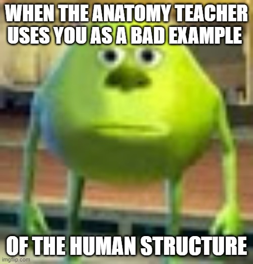 Warped Anatomy | WHEN THE ANATOMY TEACHER USES YOU AS A BAD EXAMPLE; OF THE HUMAN STRUCTURE | image tagged in sully wazowski | made w/ Imgflip meme maker