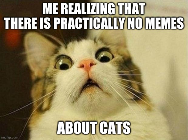 Scared Cat |  ME REALIZING THAT THERE IS PRACTICALLY NO MEMES; ABOUT CATS | image tagged in memes,scared cat | made w/ Imgflip meme maker