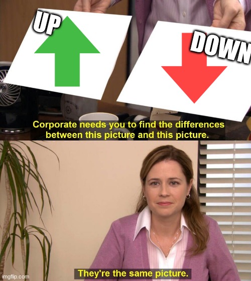 They are the same picture | UP; DOWN | image tagged in they are the same picture | made w/ Imgflip meme maker