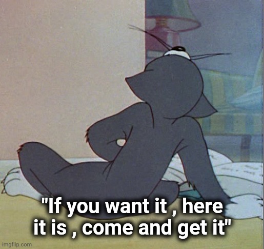 Tom jerking off | "If you want it , here it is , come and get it" | image tagged in tom jerking off | made w/ Imgflip meme maker