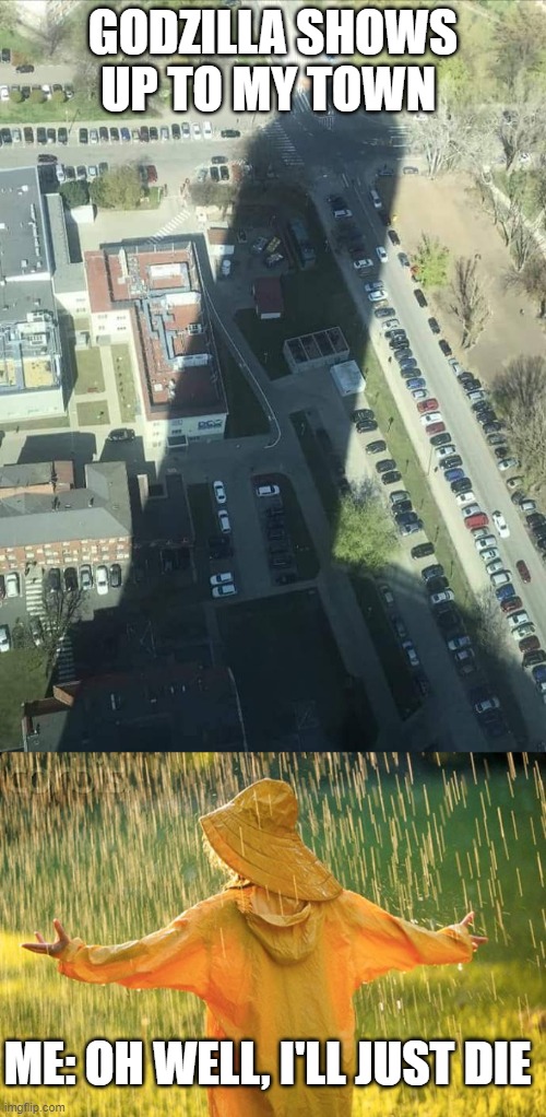 GODZILLA SHOWS UP TO MY TOWN; ME: OH WELL, I'LL JUST DIE | image tagged in water tower shadow,dark humor | made w/ Imgflip meme maker