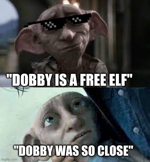 NO... NOT DOBBY!!!!!! | "DOBBY IS A FREE ELF"; "DOBBY WAS SO CLOSE" | image tagged in dobby,free,rip | made w/ Imgflip meme maker
