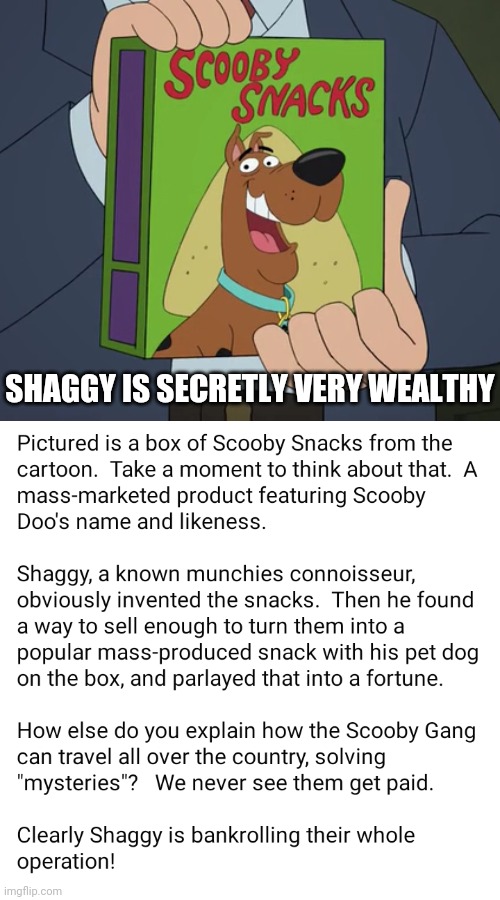 I solved the mystery! | SHAGGY IS SECRETLY VERY WEALTHY | image tagged in memes,fun,scooby doo,scooby snacks,shaggy | made w/ Imgflip meme maker
