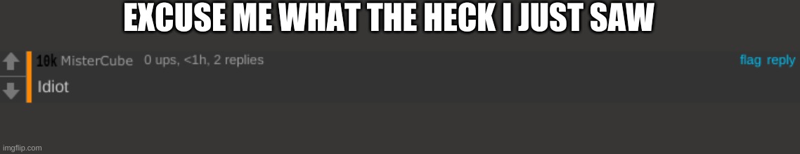 EXCUSE ME WHAT THE HECK I JUST SAW | made w/ Imgflip meme maker