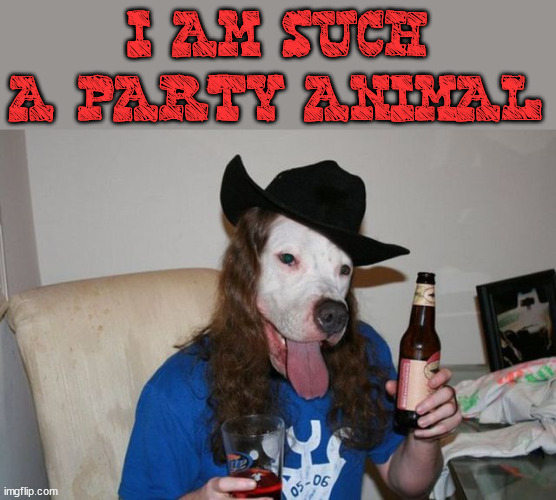 I AM SUCH A PARTY ANIMAL | image tagged in eye roll | made w/ Imgflip meme maker