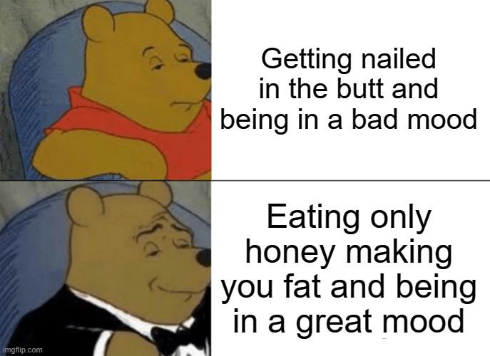 Tuxedo Winnie The Pooh Meme | Getting nailed in the butt and being in a bad mood Eating only honey making you fat and being in a great mood | image tagged in memes,tuxedo winnie the pooh | made w/ Imgflip meme maker