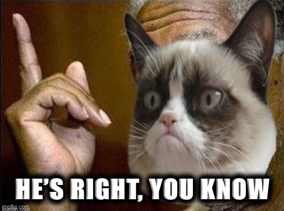 Morgan Freeman cat he's right you know | HE’S RIGHT, YOU KNOW | image tagged in morgan freeman cat he's right you know | made w/ Imgflip meme maker