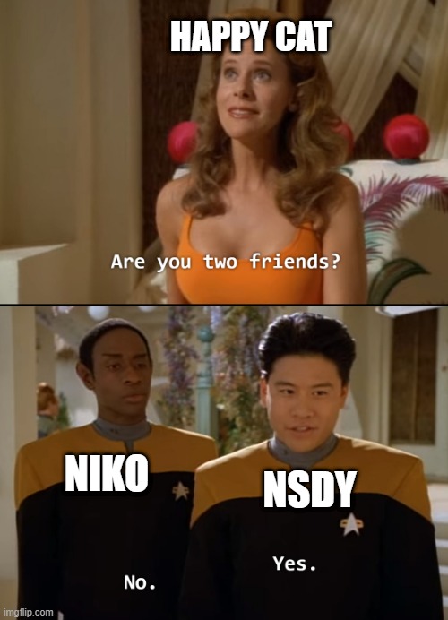 nsdy in a nutshell | HAPPY CAT; NIKO; NSDY | image tagged in are you friends | made w/ Imgflip meme maker