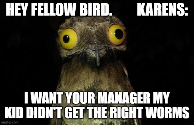 Weird Stuff I Do Potoo Meme | HEY FELLOW BIRD.         KARENS:; I WANT YOUR MANAGER MY KID DIDN'T GET THE RIGHT WORMS | image tagged in memes,weird stuff i do potoo | made w/ Imgflip meme maker