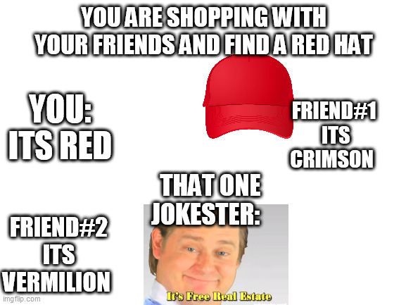 Dont ask | YOU ARE SHOPPING WITH YOUR FRIENDS AND FIND A RED HAT; YOU:
ITS RED; FRIEND#1
 ITS CRIMSON; THAT ONE JOKESTER:; FRIEND#2
ITS VERMILION | image tagged in blank white template | made w/ Imgflip meme maker