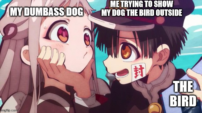 Dog | ME TRYING TO SHOW MY DOG THE BIRD OUTSIDE; MY DUMBASS DOG; THE BIRD | image tagged in anime meme | made w/ Imgflip meme maker