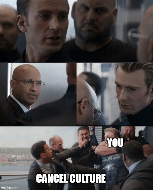 Captain America Elevator Fight | YOU CANCEL CULTURE | image tagged in captain america elevator fight | made w/ Imgflip meme maker