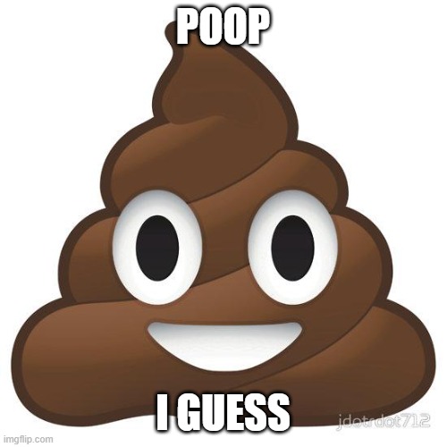 poop | POOP I GUESS | image tagged in poop | made w/ Imgflip meme maker