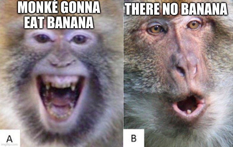 banana | MONKÉ GONNA EAT BANANA; THERE NO BANANA | image tagged in monkey | made w/ Imgflip meme maker