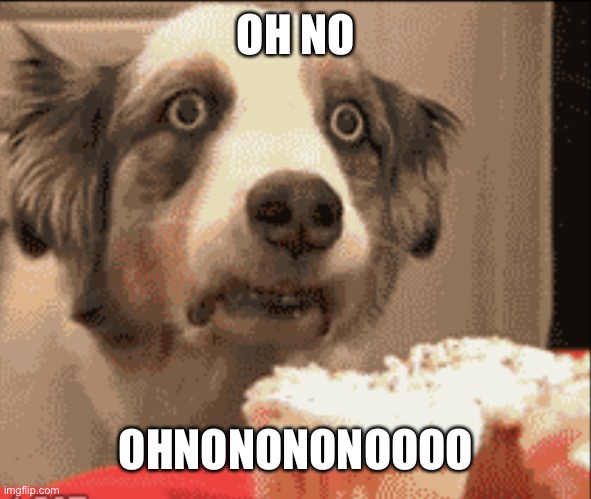 PTSD dog | OH NO OHNONONONOOOO | image tagged in ptsd dog | made w/ Imgflip meme maker