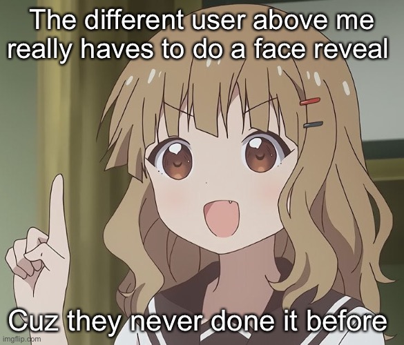The person above me | The different user above me really haves to do a face reveal; Cuz they never done it before | image tagged in the person above me | made w/ Imgflip meme maker