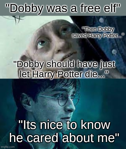 its nice to know he cared... | "Dobby was a free elf"; "Then Dobby saved Harry Potter..."; "Dobby should have just let Harry Potter die..."; "Its nice to know he cared about me" | image tagged in harry potter,dobby,die | made w/ Imgflip meme maker