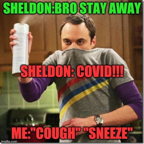 Covid safety | SHELDON:BRO STAY AWAY; SHELDON: COVID!!! ME:"COUGH" "SNEEZE" | image tagged in air freshener sheldon cooper | made w/ Imgflip meme maker