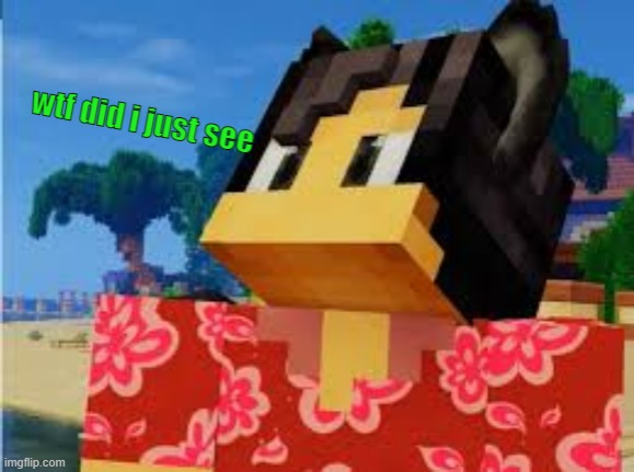 wtf did i just see Minecraft ed. | image tagged in wtf did i just see minecraft ed | made w/ Imgflip meme maker