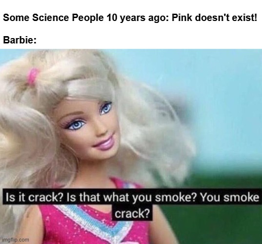I just found out this was a thing, since pink isn't on the visible spectrum or something. | Some Science People 10 years ago: Pink doesn't exist!
 
Barbie: | image tagged in barbie | made w/ Imgflip meme maker