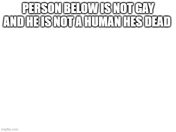 Blank White Template | PERSON BELOW IS NOT GAY AND HE IS NOT A HUMAN HES DEAD | image tagged in blank white template | made w/ Imgflip meme maker